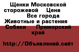 Щенки Московской сторожевой  › Цена ­ 25 000 - Все города Животные и растения » Собаки   . Приморский край